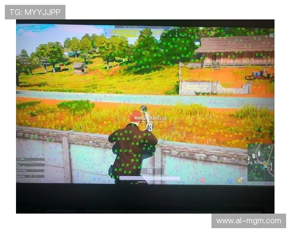 游戏花屏闪退现象的产生原因及与硬件设备的关系分析